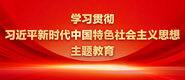 爱爱网视频免费看学习贯彻习近平新时代中国特色社会主义思想主题教育_fororder_ad-371X160(2)
